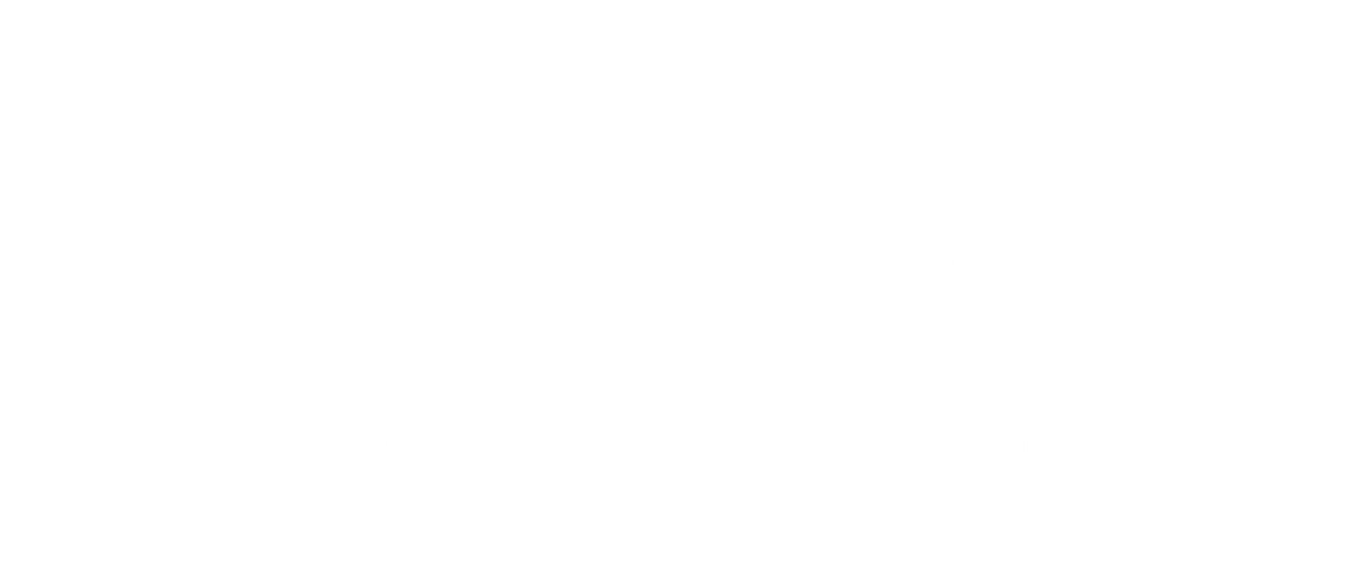 Voxel